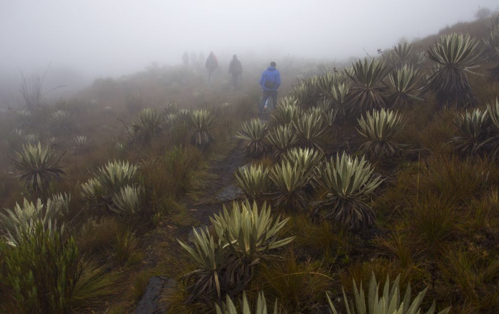 El campo colombiano logra frenar la explotación minera en los páramos