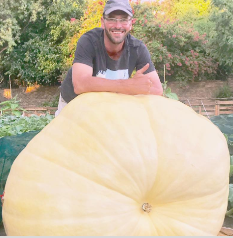 New SA giant pumpkin record