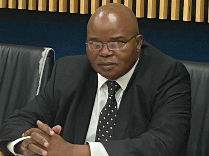 Saving the Wild gets green light to join Eric Nzimande hearing