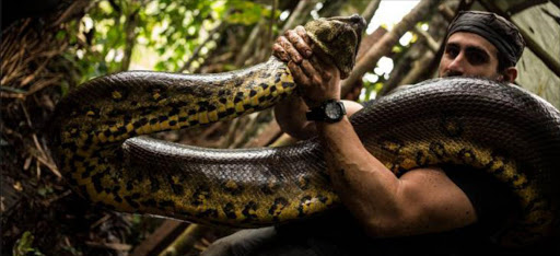 Naturalist swallowed by snake for TV show