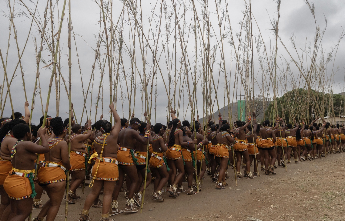 Reed Dance South Africa Here Is Everything You Need To Know About It