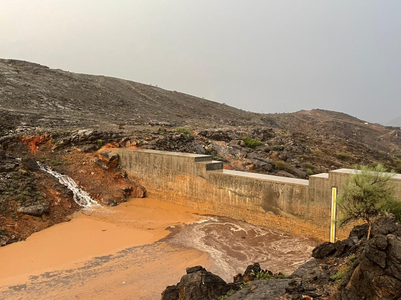 بالصور: الخير “ينهمر” على عدد من الولايات
