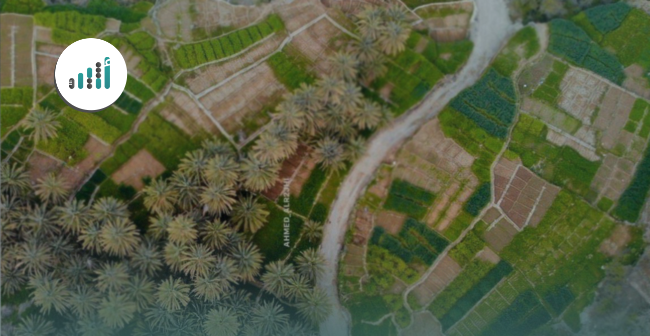 “وادي الحيملي” اجعله ضمن جدول مغامراتك في الشتاء
