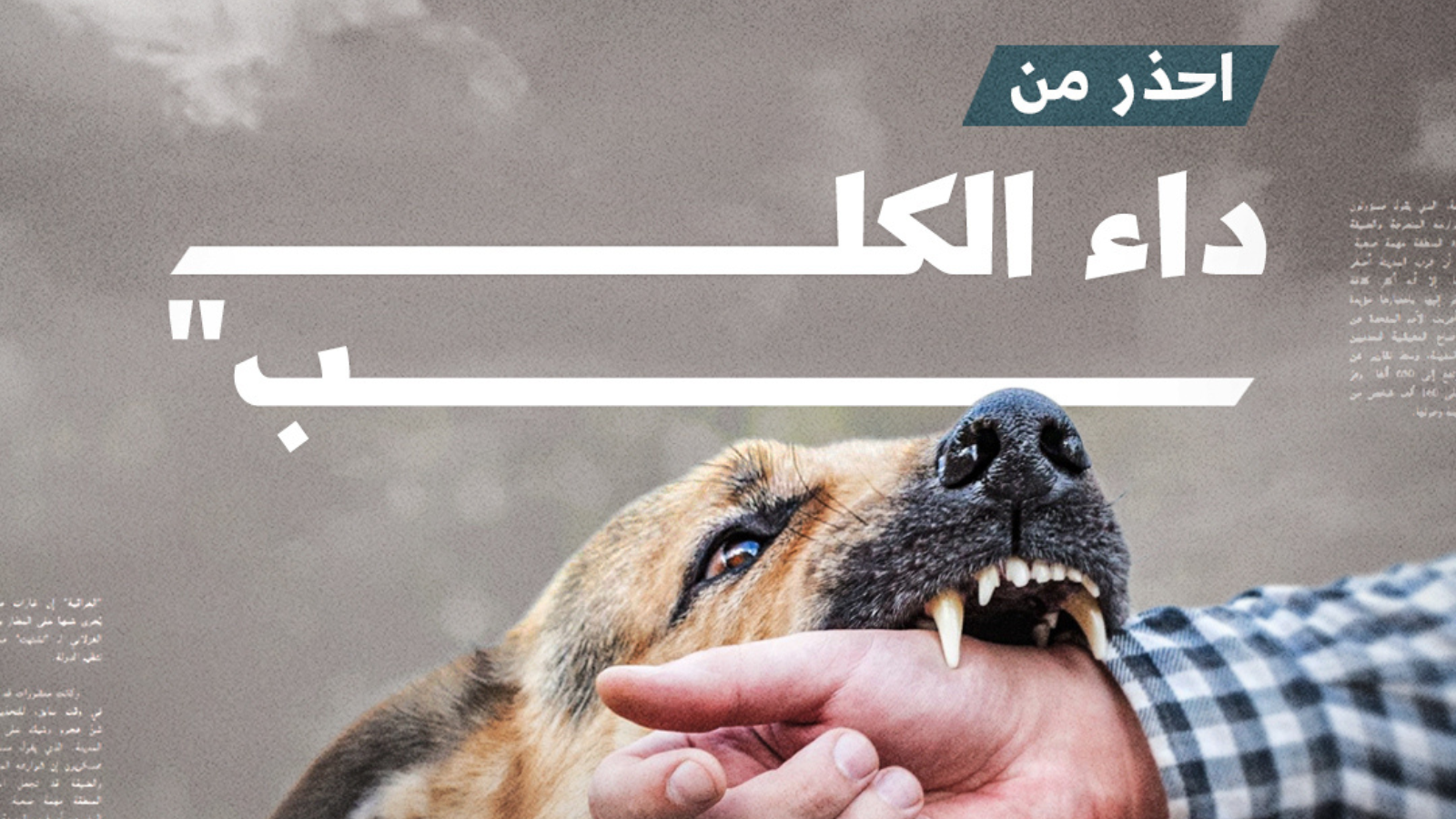 لمن يهتم بتربية الحيوانات الأليفة: احذر من “داء الكلب”
