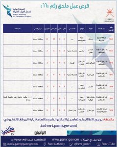 بالجداول: 399 فرصة عمل في ملحق جديد