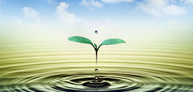 حياتنا فرص متجددة