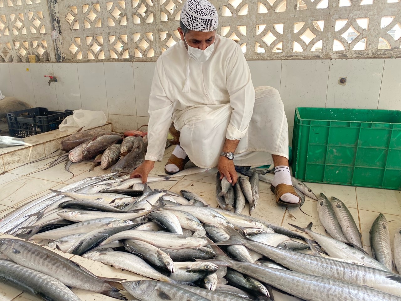 حركة نشطة في سوق الأسماك بلوى