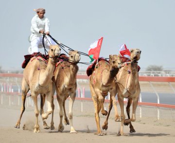 الخنجر العماني وحداء الإبل يُسجّلان في “اليونسكو”