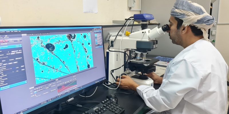 إنجاز علمي بجامعة نزوى يكشف عائلة فطرية جديدة ضمن أعشاش النمل