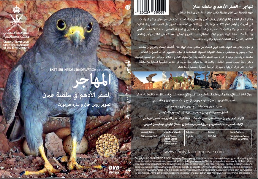 الصقر الأدهم…فيلم وثائقي عن الطائر المهاجر في السينما المحلية الأربعاء