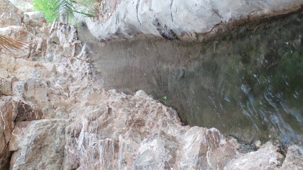 “العوينة” عين ماء عذبة دائمة الجريان