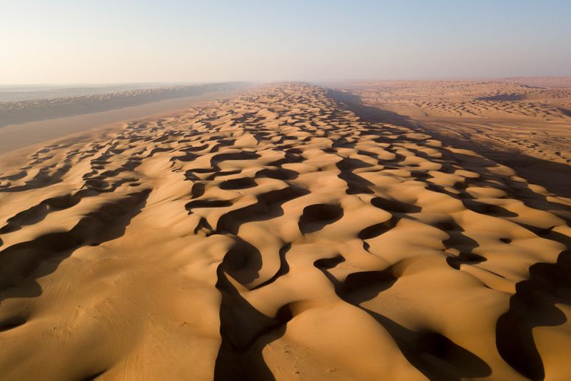 فيلمان وثائقيان سيبرزان الحياة البرية العمانية ومخلوقات نادرة فيها