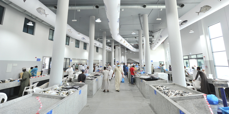 “الثروة الزراعة والسمكية” توضح حول ارتفاع أسعار بعض أنواع الأسماك