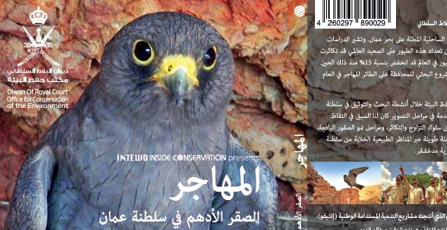 الصقر الأدهم…فيلم وثائقي عن الطائر المهاجر في السينما المحلية الأربعاء