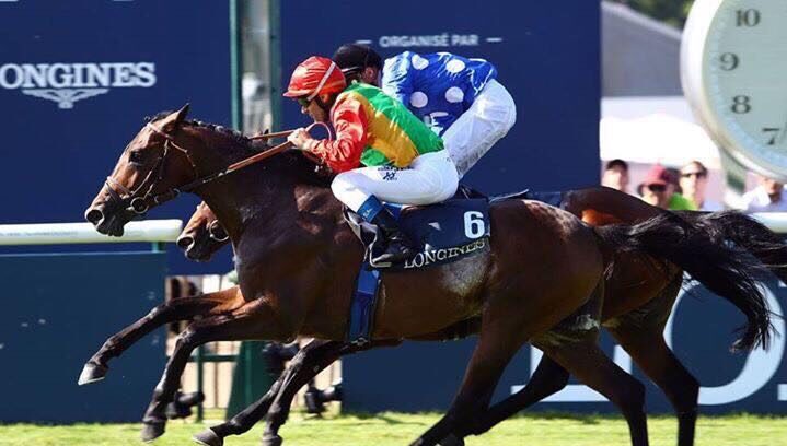 فرس عمانية “الأول” في سباق بفرنسا