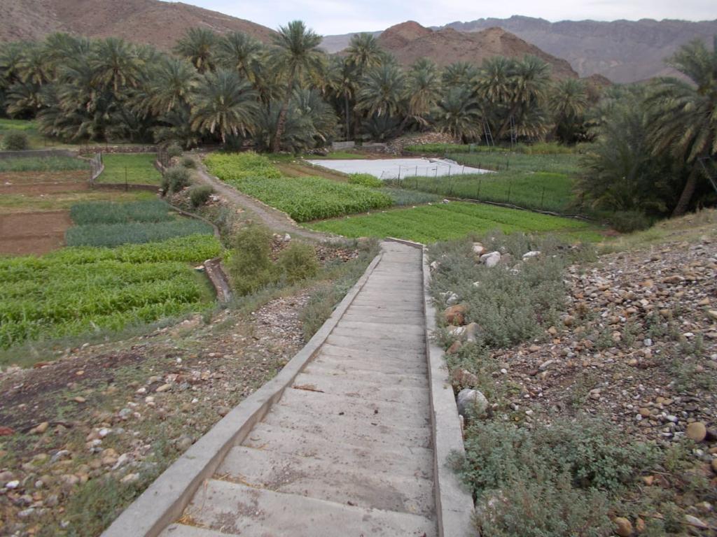 قميراء…قريةٌ صحية