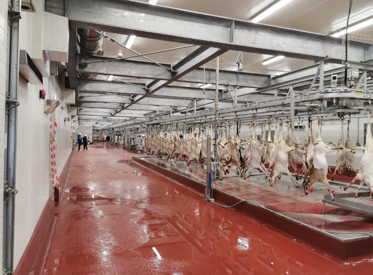 تستضيفه ظفار: ملتقى عُماني عربي لفرص الاستثمار في سلطنة عُمان