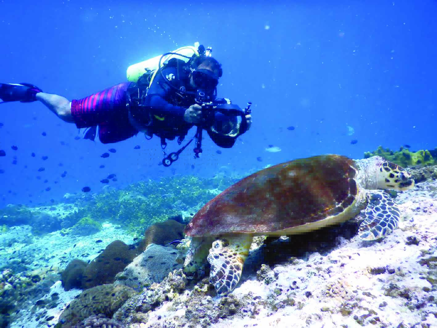 قريبًا: نظام إلكتروني لتراخيص تنظيم رحلات سياحة المغامرات