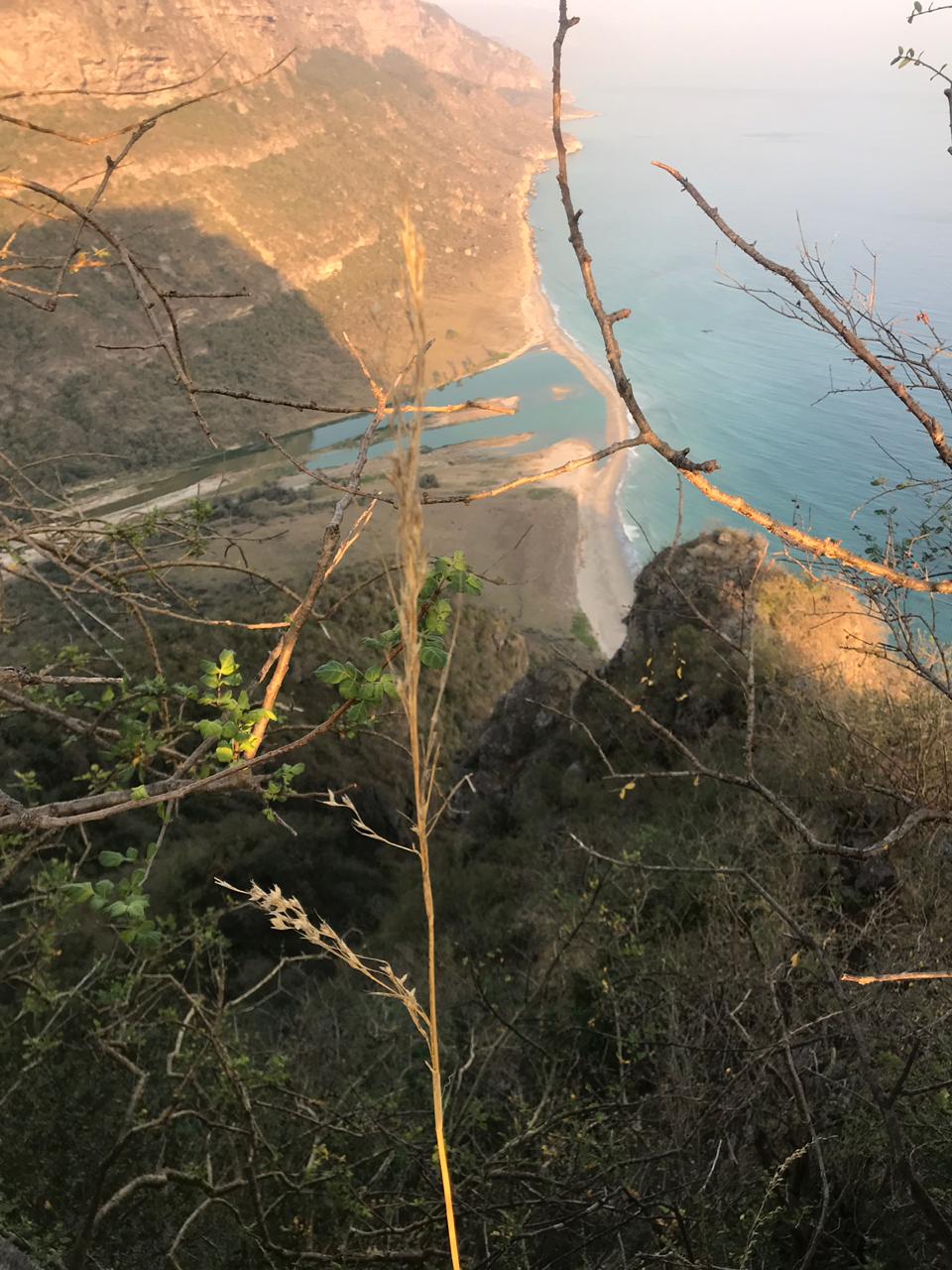 بالصور: “خرفوت” قصة الابتهال الأخير قبل الرحيل…فماذا تعرف عنها؟