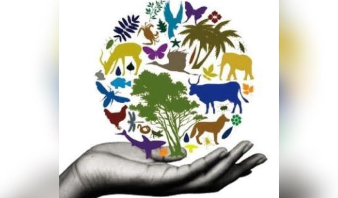 صدر اليوم بشأنه مرسوم سلطاني: ما هو بروتوكول ناجويا؟