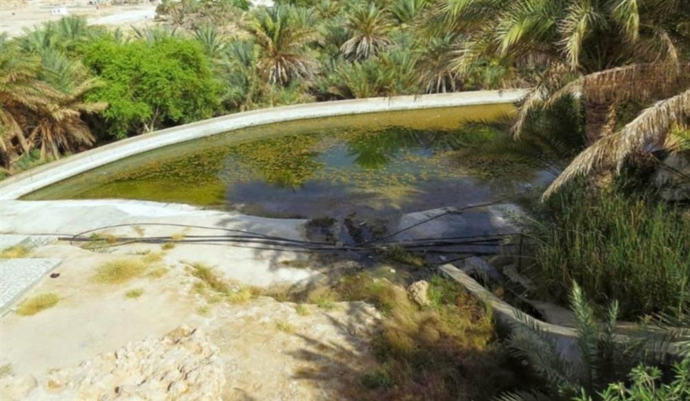 عين مضي من أهم العيون المائية وأقدمها في بادية ظفار