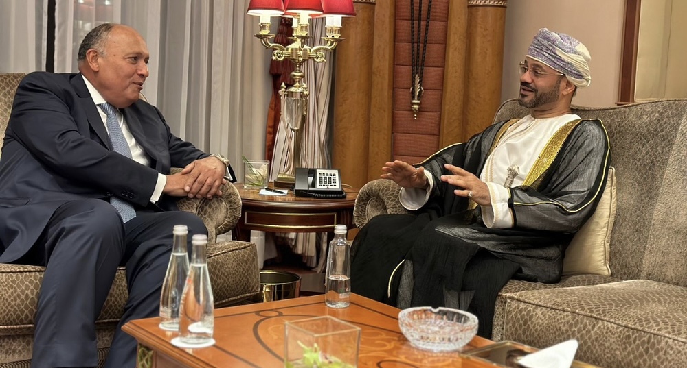 وزير الخارجية يلتقي بنظيريه المصري والعراقي