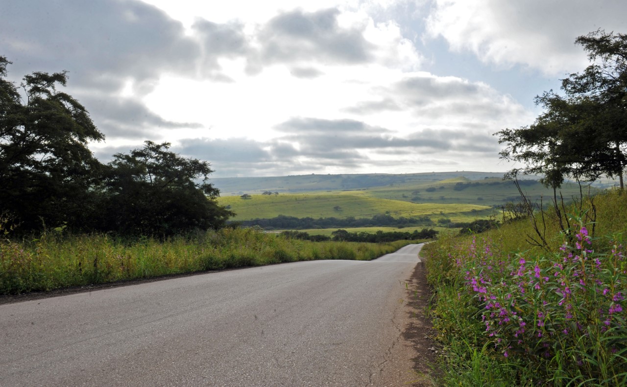 إذا فاتك الخريف؛ لا تفوّت “الصرب” الذي بدأ اليوم