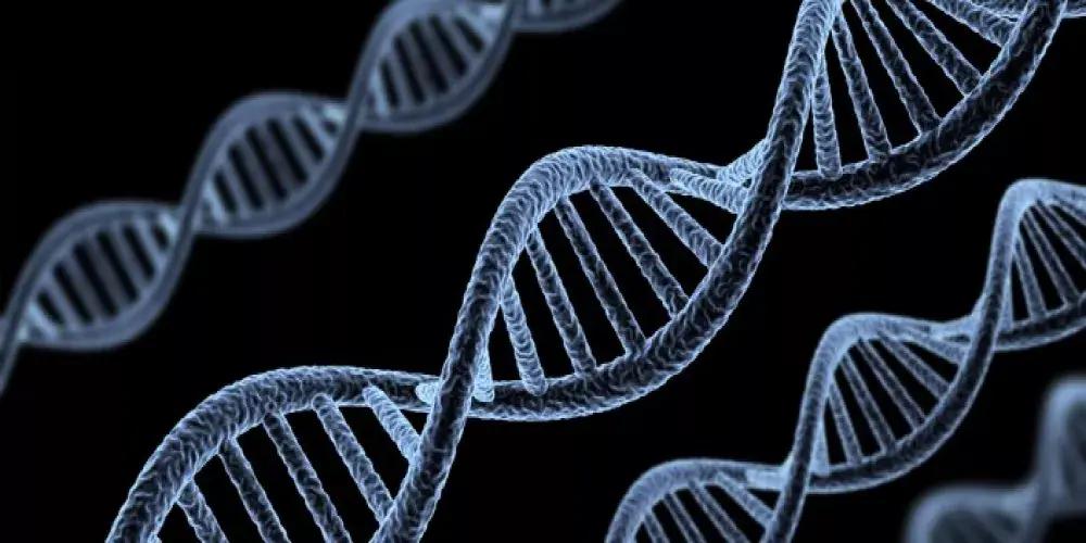بدأت القصة قبل 14 عامًا: حالة مرضية لشقيقتين عُمانيتين تقود إلى اكتشاف جديد