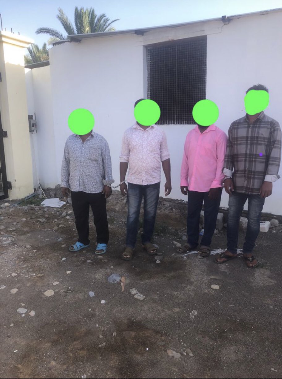 فحوصات تكشف وجود نسب مرتفعة لمبيدات في محاصيل زراعية