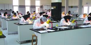 د.رجب العويسي يكتب: مخرجات العلوم الاجتماعية وسوق العمل؛ تراكمات ثقافة التعليم أم واقع اقتصادي يفرض ذاته ؟