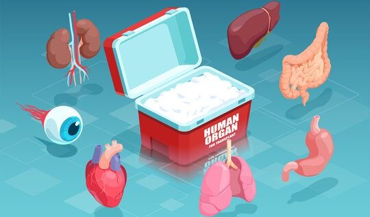 زراعة الأعضاء عام 2023م في سلطنة عُمان: كم عددها؟ وما شروط التبرع؟