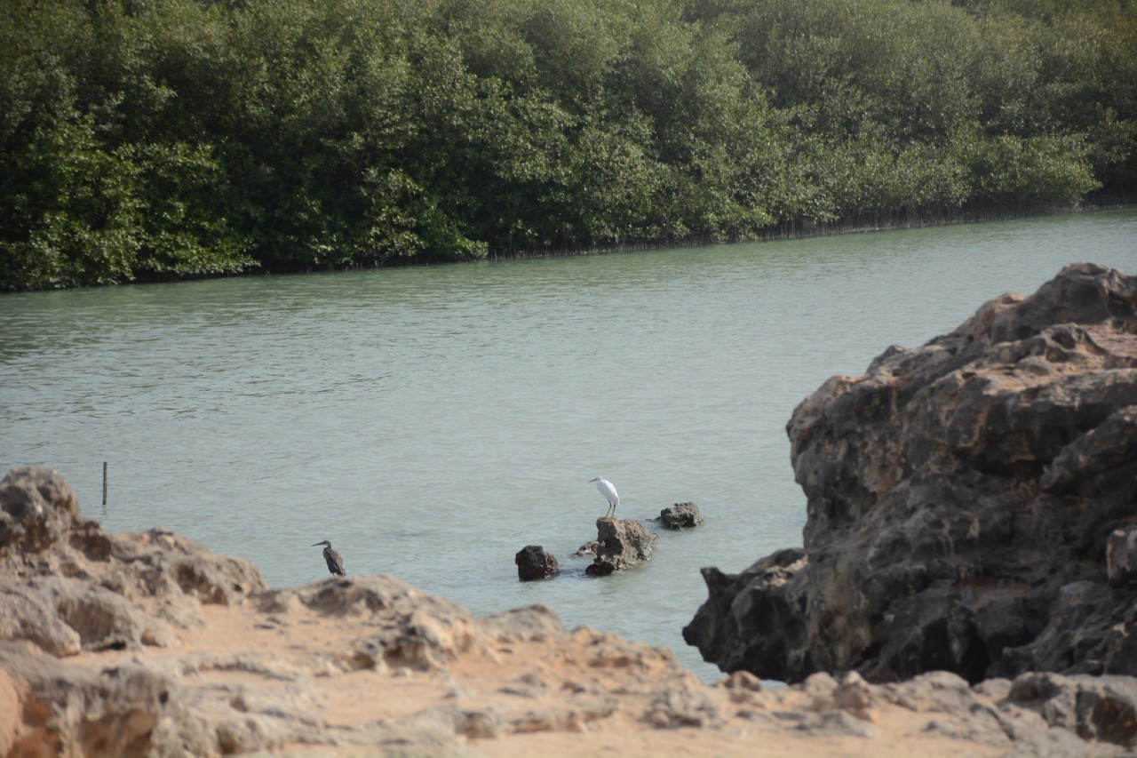 “فلم” شاطئ  سياحي بمثابة استجمام لمرتاديه