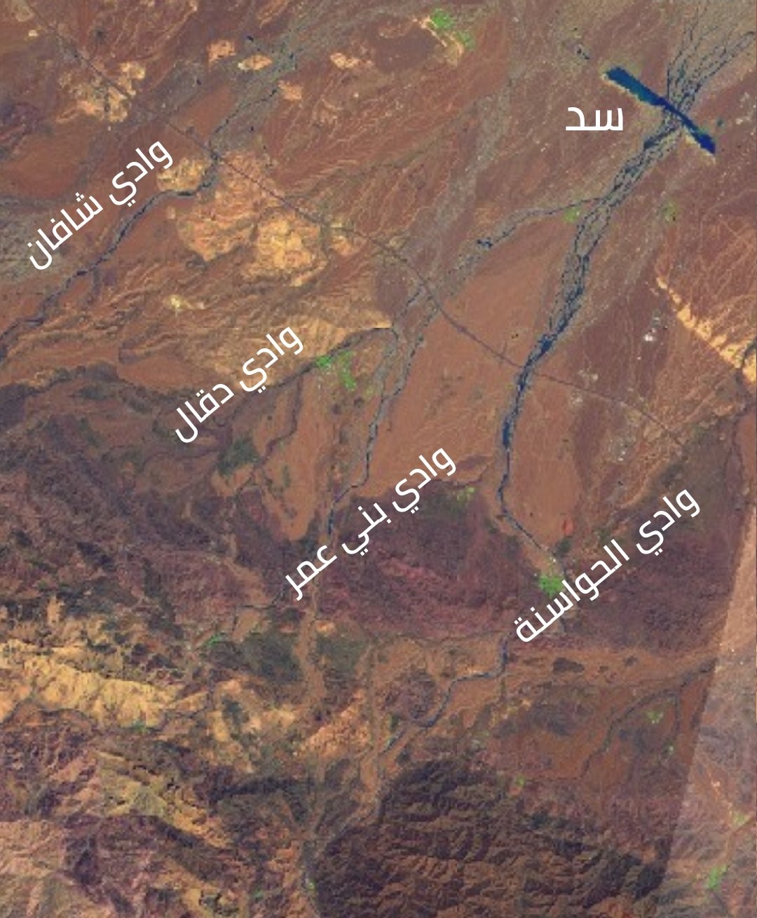 “شاهين” في مجهر الدراسة: كيف أثّر على الأودية في السويق الخابورة وصحم؟