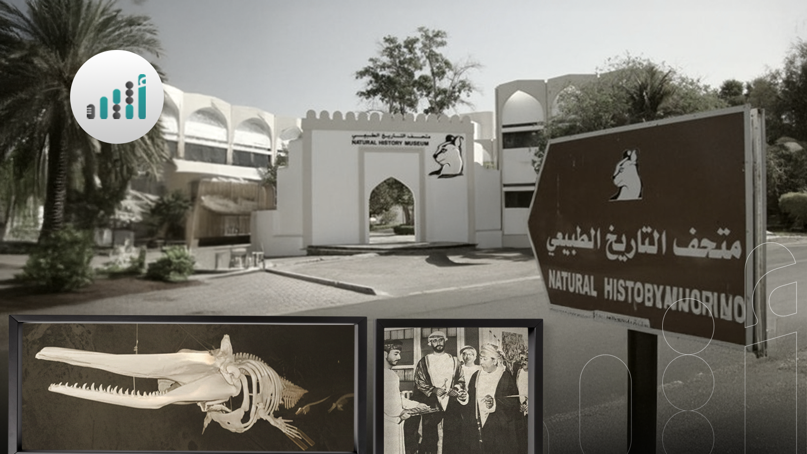 قبل 40 عامًا: افتتاح متحف عُماني من أبرز مقتنياته هيكل لحوت العنبر