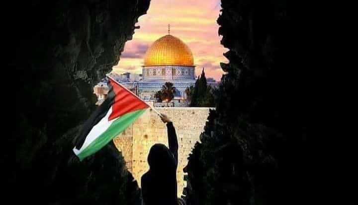 محمد الجزيري يكتب: رغمَ الألم سنظلّ نهتف أبدا: يحيا الإنسان