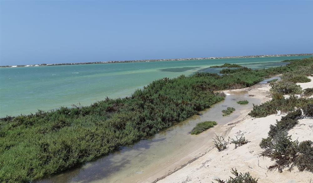 ثروة وطنية في محافظة الوسطى، تعرف عليها