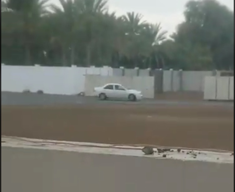 استعرضا بتهور في أحياء سكنية والشرطة تضبطهما