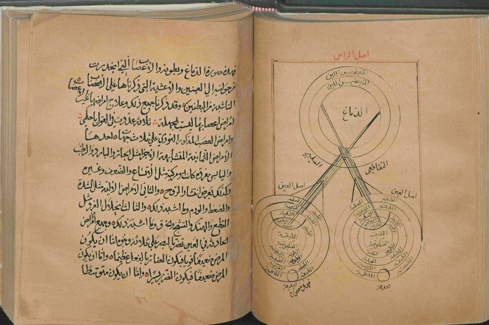 يوم سنوي للاحتفال بالشخصيات العمانية المؤثرة عالميا