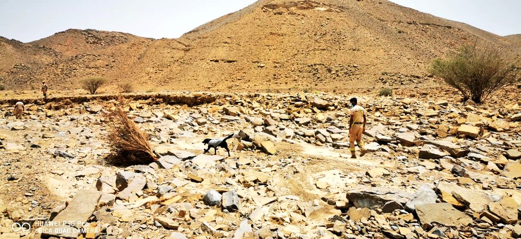 العثور على جثمان المفقود الرابع في صور