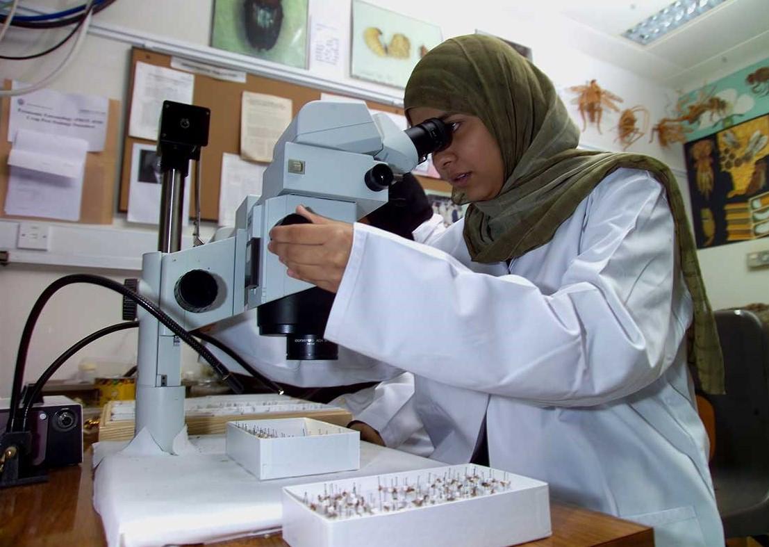 المرأة العُمانية: خمسون عامًا من الإنجازات والنجاحات