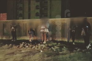 بالصور والفيديو.. كائنات ليلية في شوارع مسقط