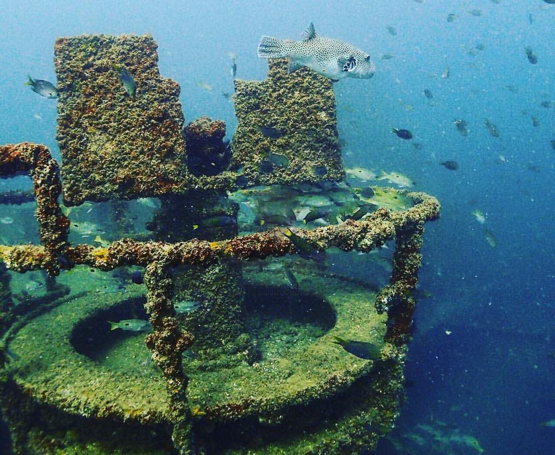 بالصور: شاهد السفينة التي أُغرقت بأوامر من السلطان قابوس قبل 20 عامًا