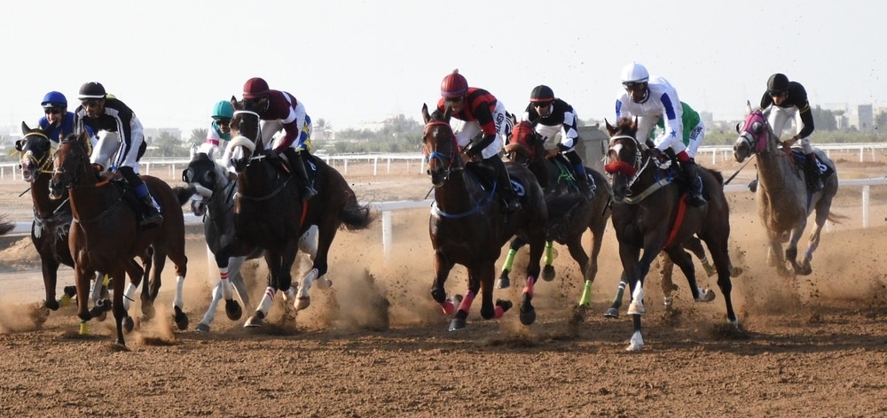 بتكليف من جلالة السلطان: سمو السيد تيمور سيرعى سباق الخيل السّنوي للخيالة السُّلطانية