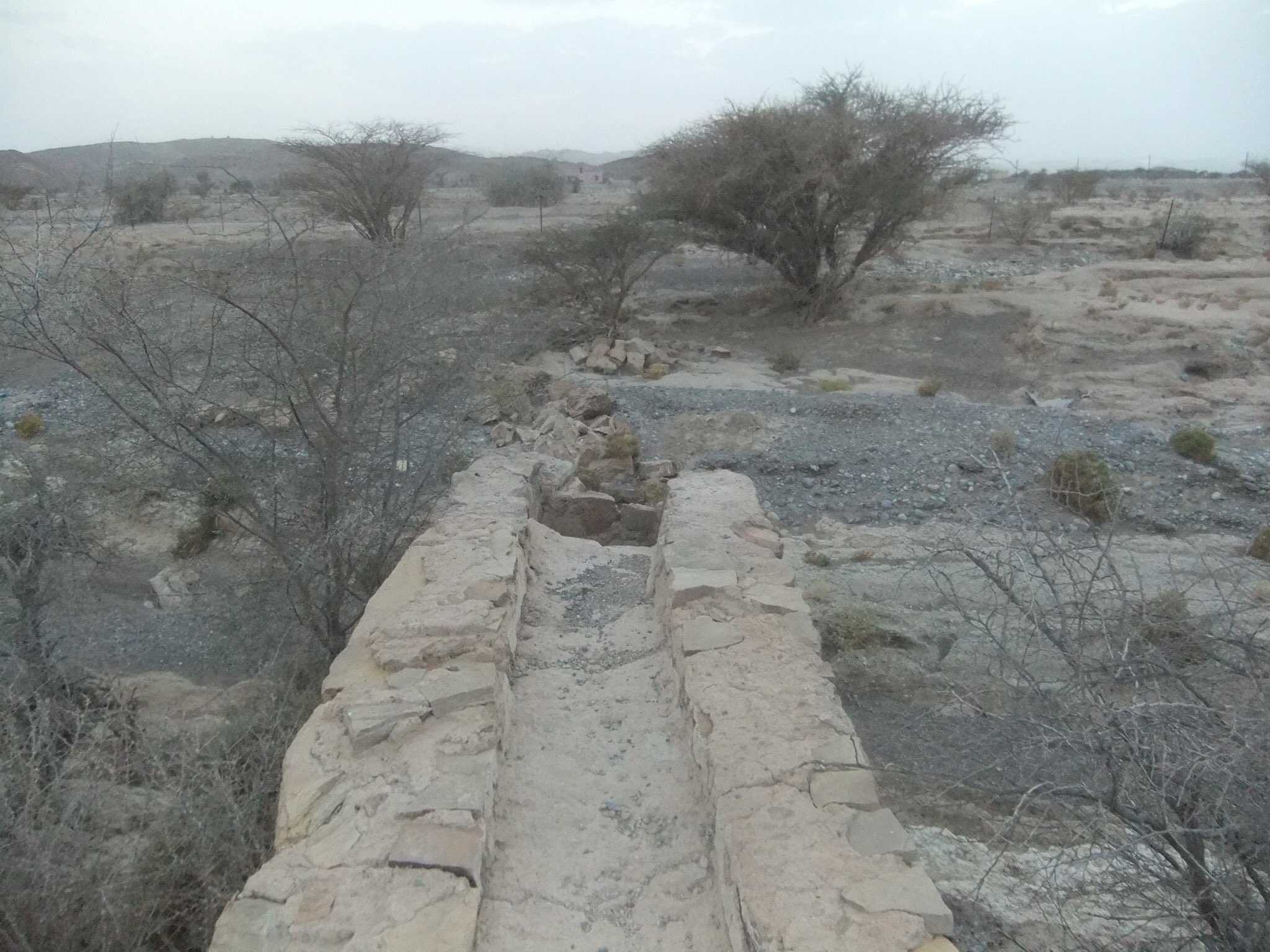 الجهود الاجتماعية في تشييد الأفلاج وعمارتها: الشيخ هلال بن زاهر الهنائي نموذجًا