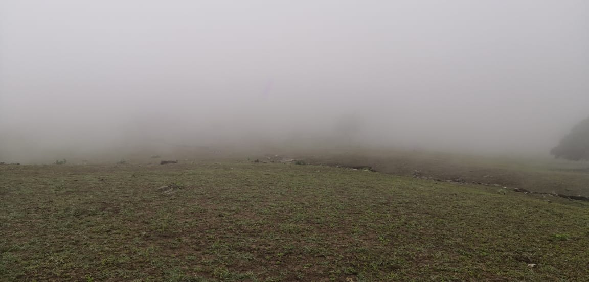 6 عناصر رئيسية لموسم الخريف.. والأمطار الرعدية والخريفية قريبًا