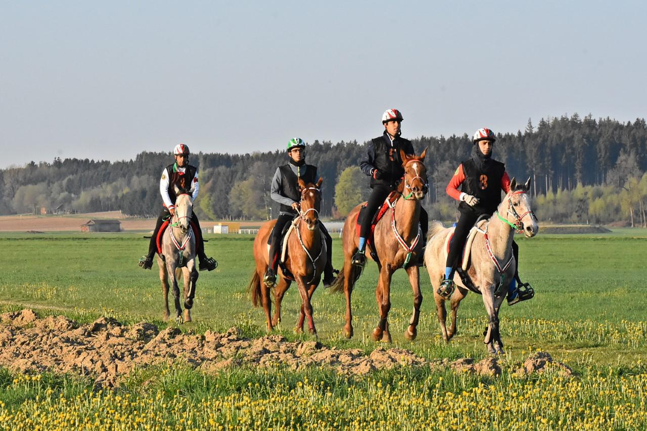 مدير الخيالة السلطانية يؤكد جاهزية فرسان السلطنة لبطولة العالم للقدرة بإيطاليا