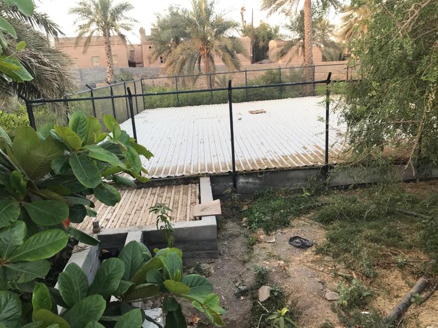 مواطنون يأتون بفكرة جديدة لإعادة الحياة لمزارعهم