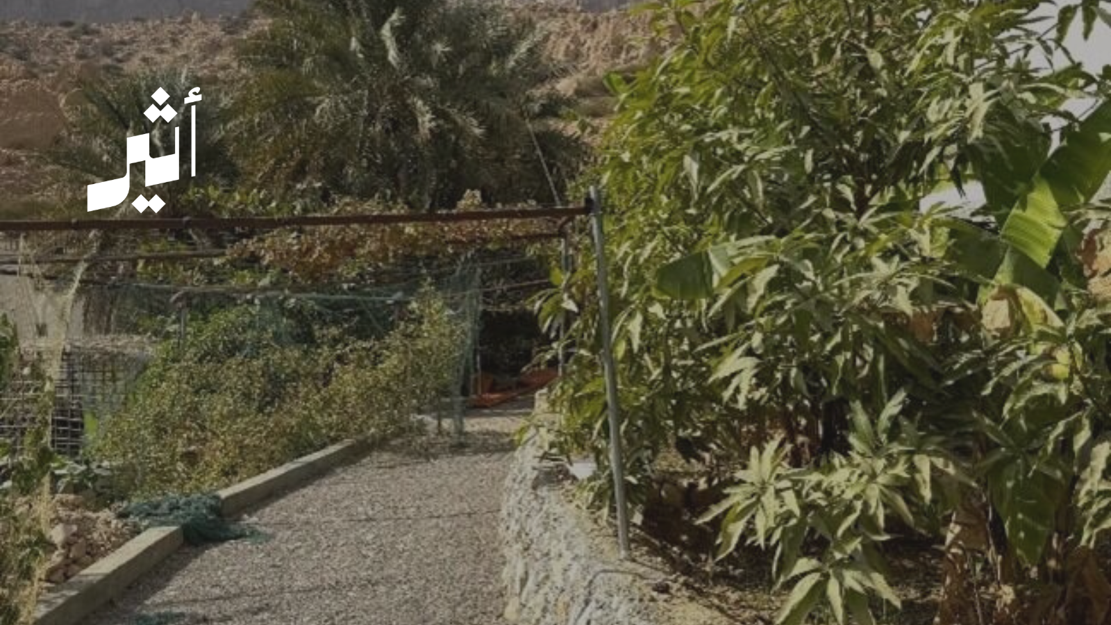 رحلة في قلب التحدي: عُماني يبني مزرعةً مُنتِجة بين الصخور