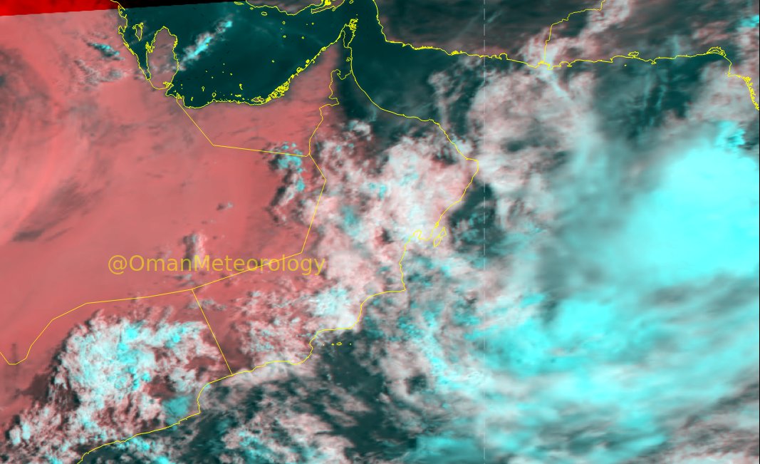 هل فاتك شيء من أحداث هذا الأسبوع؟ هنا ملخص لأبرز أخباره