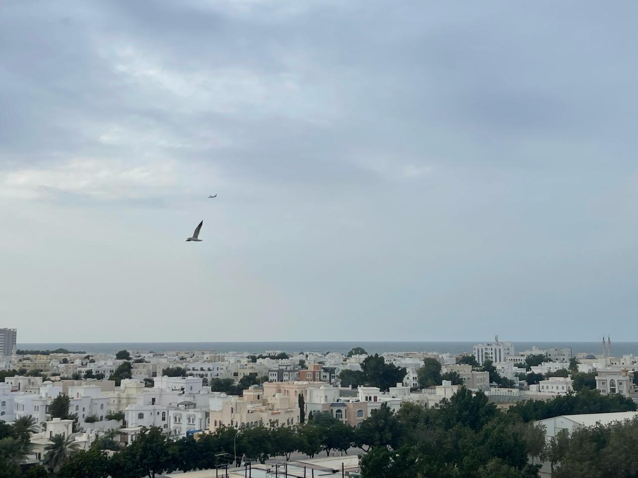 بَوْحٌ إلى عُمان من شاعر سوري